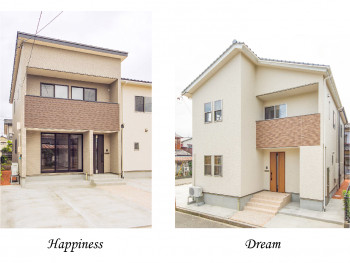 Happiness/Dream
